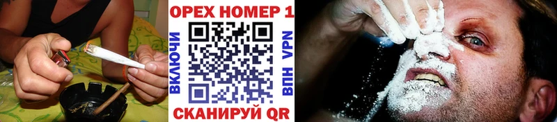 COCAIN Fish Scale  Кострома 