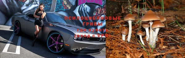 гашиш Абинск