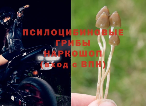 гашиш Абинск